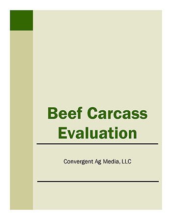 Beef Carcass Evaluation Manual